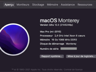 Service pour Mac OS 11 sur Mac incompatible