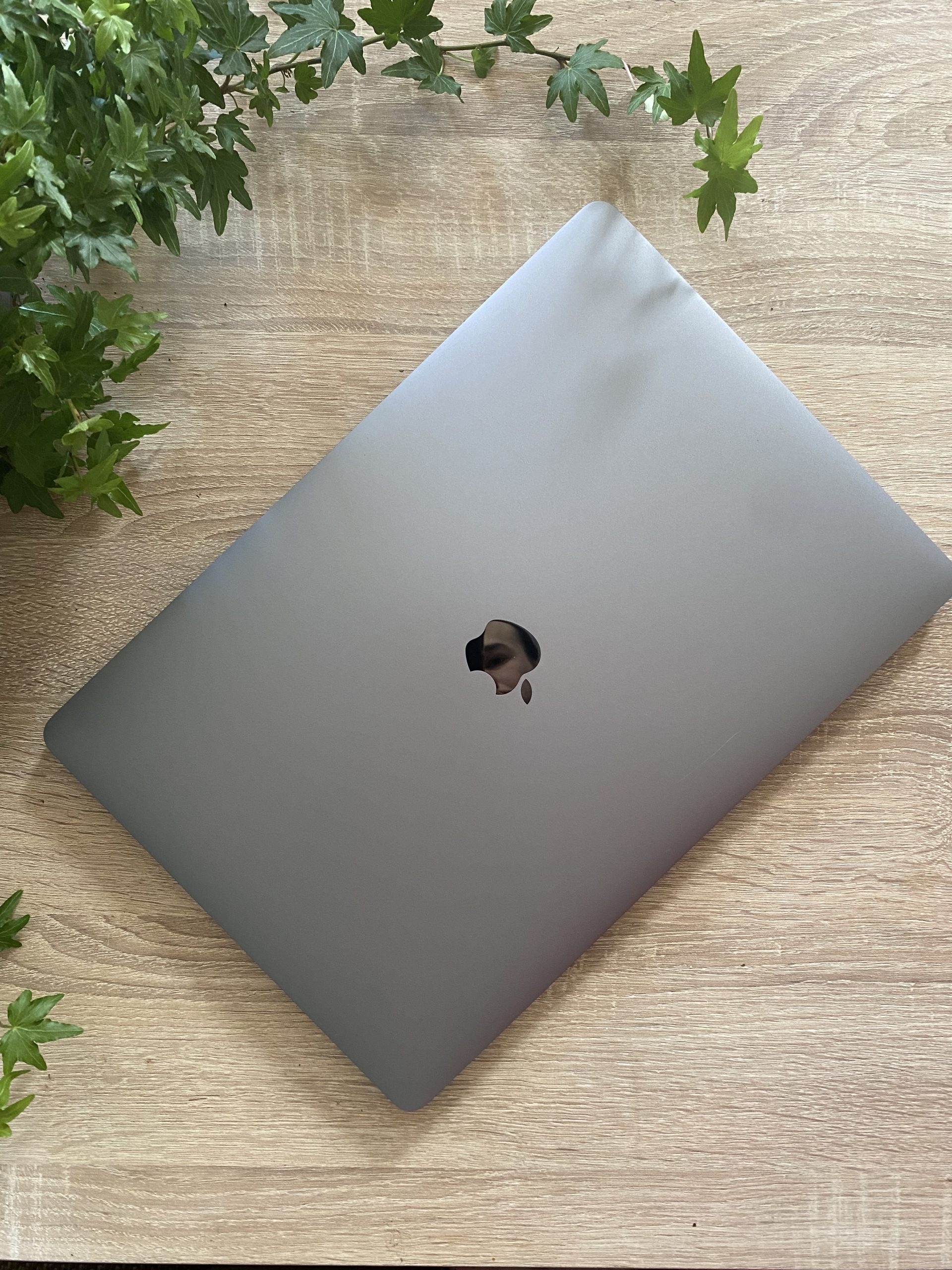 MacBook Pro 15 pouces Mid 2018 – i7 – 16Go