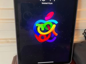 iPad Pro 2018 256Go WiFi Parfait état