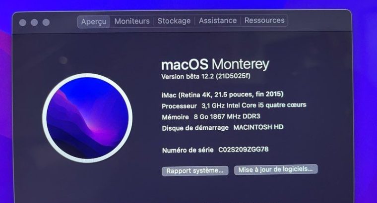 iMac Retina 4K 21,5 pouces