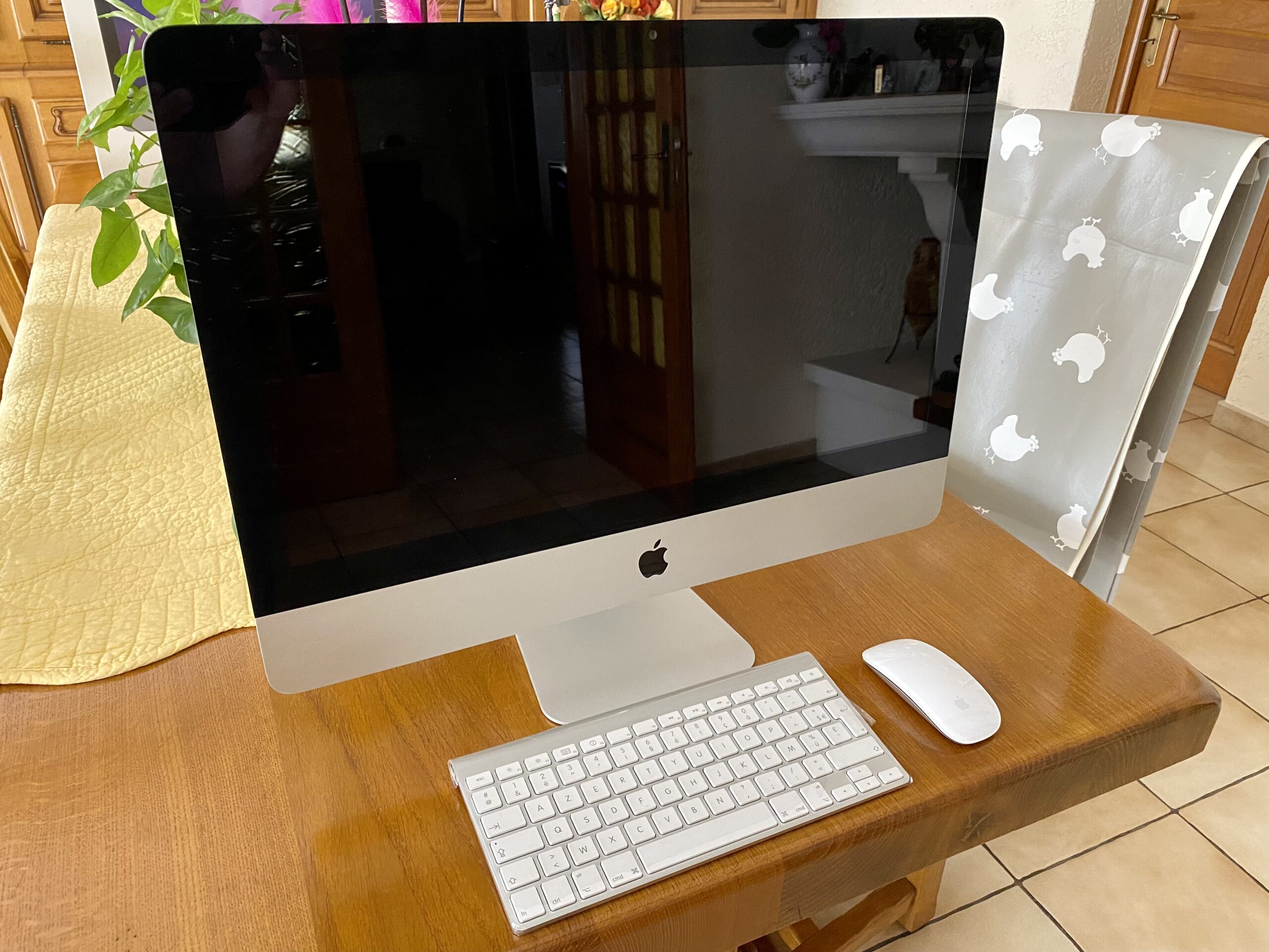 Vends iMac 21,5″ mi-2010 – excellent état !