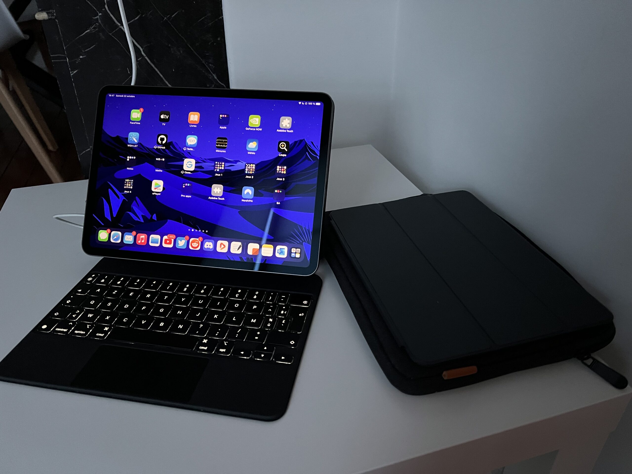 iPad Pro 11″ 256 Go (2018) WiFi + Magic Keyboard +