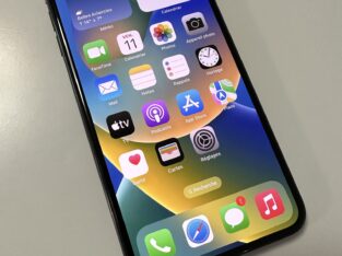 iPhone XS Max 256 Go Gris Sidéral Double Sim