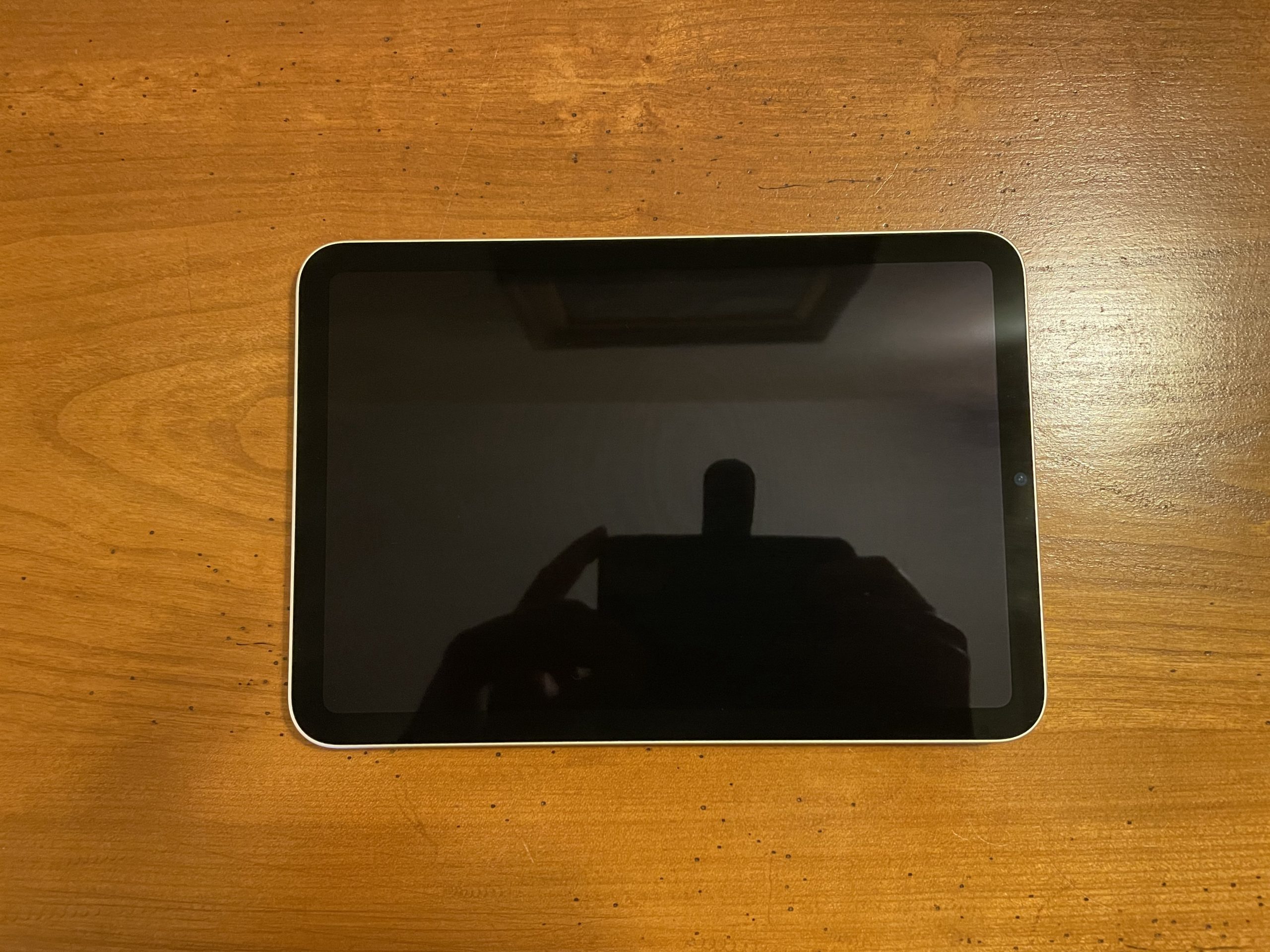 iPad Mini 6 WiFi 64Go Lumière Stellaire comme neuf