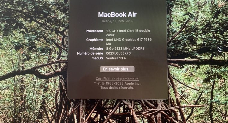 Mac Book Air 2018