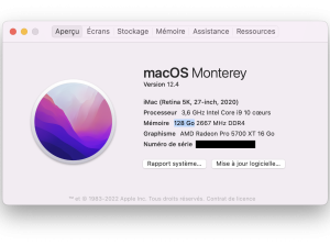 iMac 27″ 2020 128Go de Ram 1To SSD