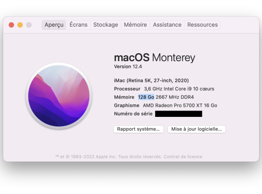 iMac 27″ 2020 128Go de Ram 1To SSD