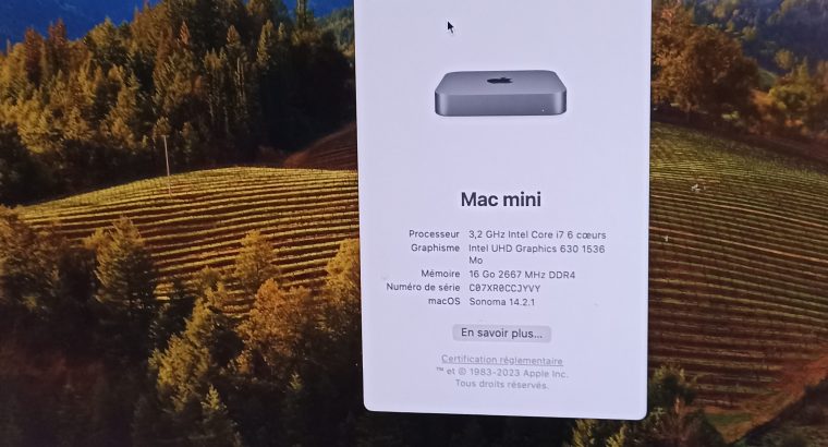Mac mini i716Go/128Go