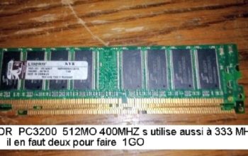 Paire de memoire ddr512MO IMAC G5 2GHZ