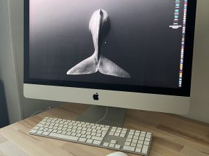 Imac Retina 5K, 27 pouces, fin 2015