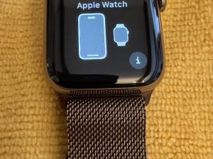 Apple Watch série 5 (40) Acier Wifi/cellular