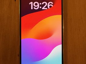 IPhone 12 Pro Max Argent 128 Go Débloqué