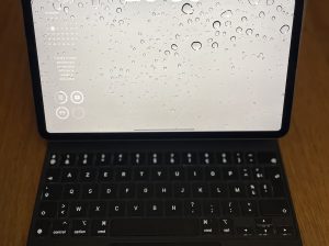 iPad Pro 11″ M2 1To